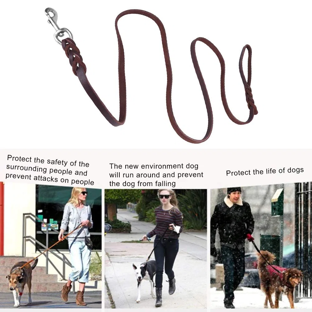 Guinzaglio per cani in pelle, cinturino in pelle con cinturino in corda di sicurezza per cani da compagnia(2.1m)