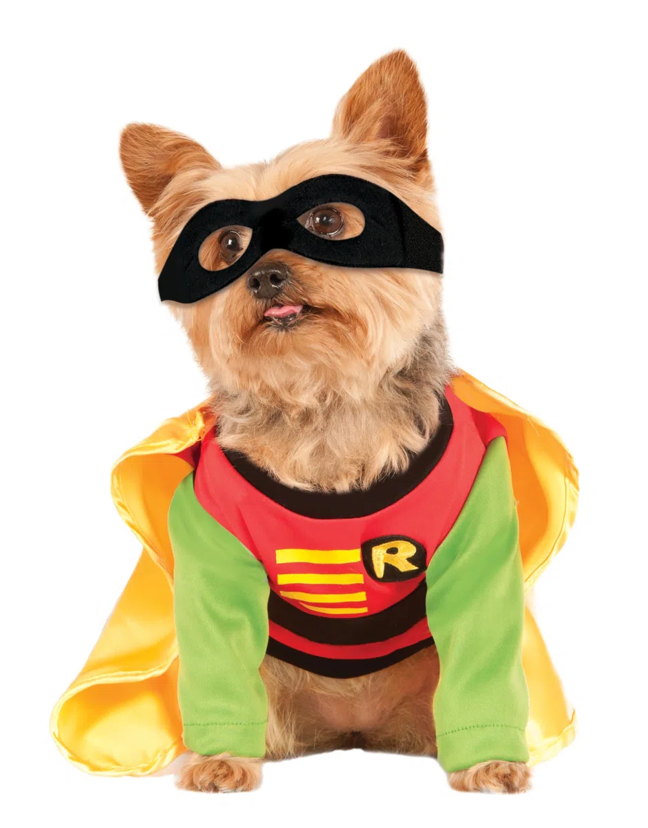 Rubie's Costume ufficiale da donna Rubie s DC Comic Robin Teen Titans Pet Dog Costume Super Hero Taglia L, come da mostrare, L UK