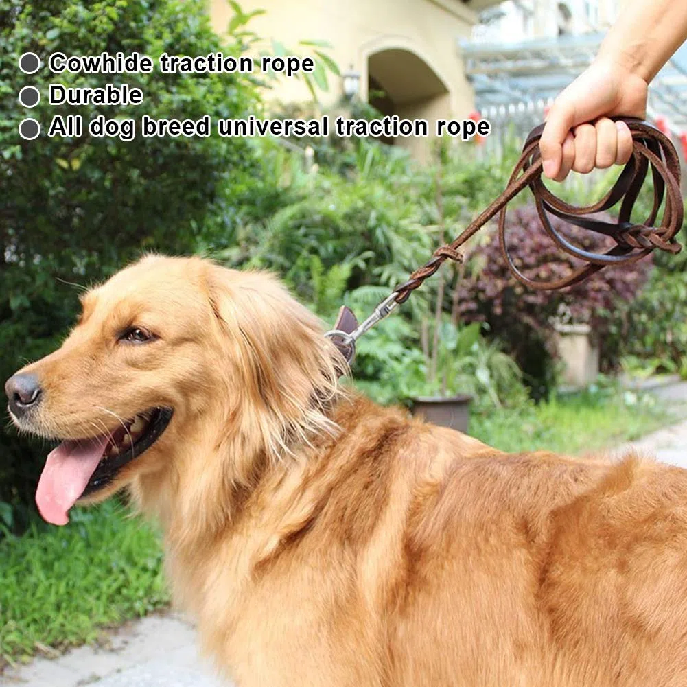 Guinzaglio per cani in pelle, cinturino in pelle con cinturino in corda di sicurezza per cani da compagnia(2.1m)