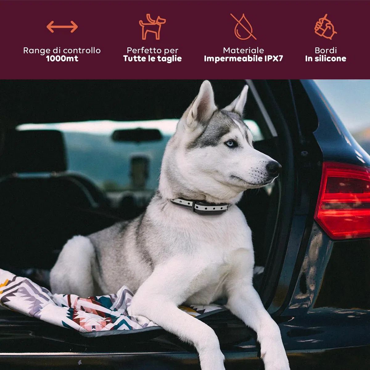 Avilia - Collare per Cani con Telecomando Impermeabile IPX7 Ricaricabile Portata 1000mt Collare Regolabile per Tutte le Taglie
