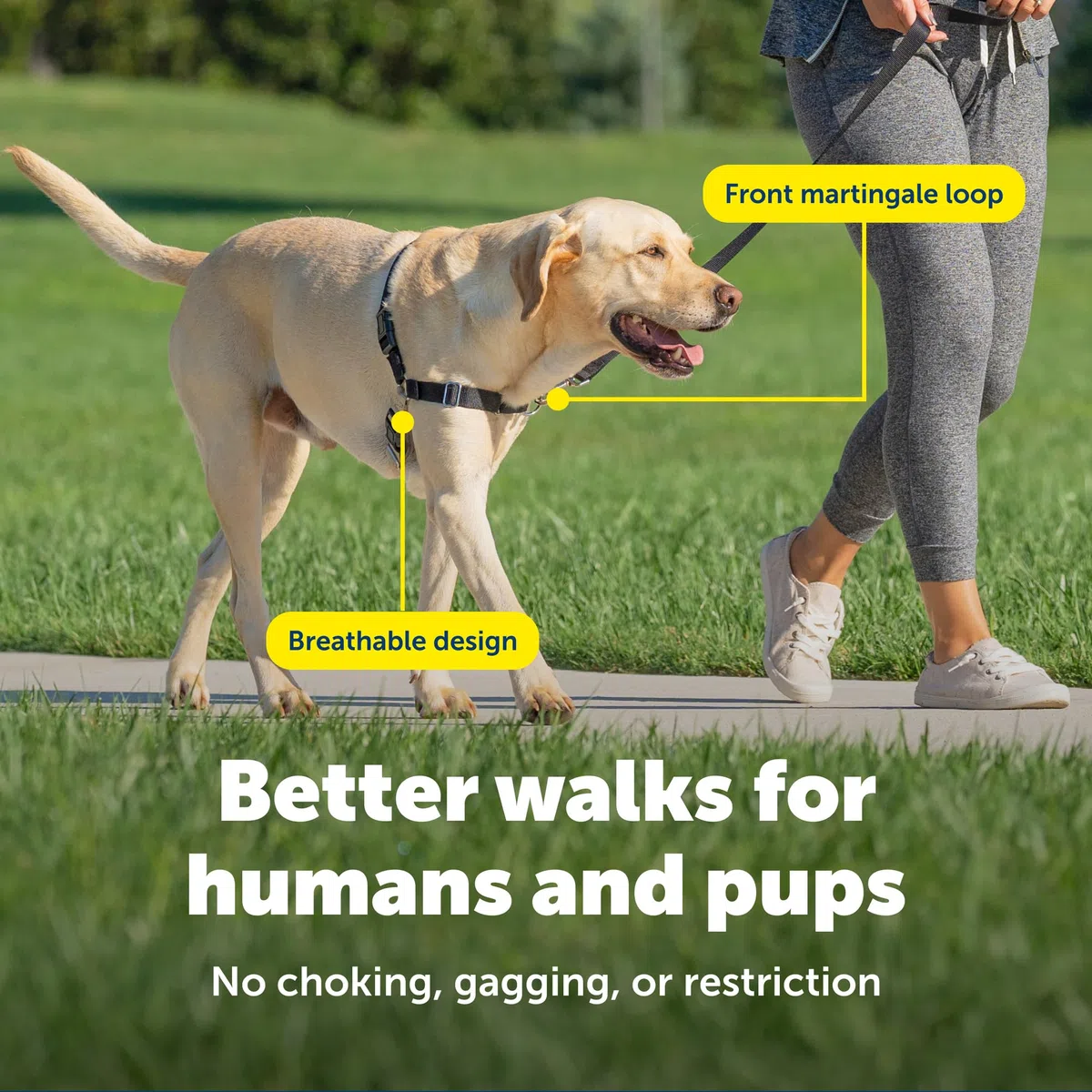 Petsafe Easy Walk Imbracatura per Cani
