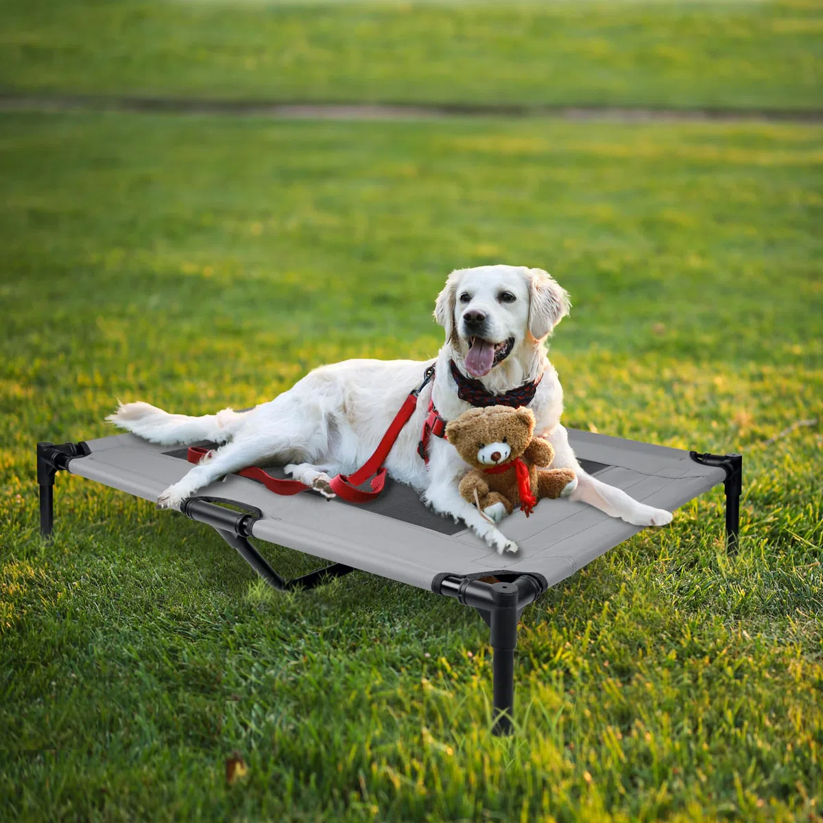 UISEBRT Cuccia Rialzata per Cani con Baldacchino e Tetto Impermeabile, Lettino da Esterni con Rete Traspirante per Campeggio, Spiaggia - Misura L, 92 x 76 x