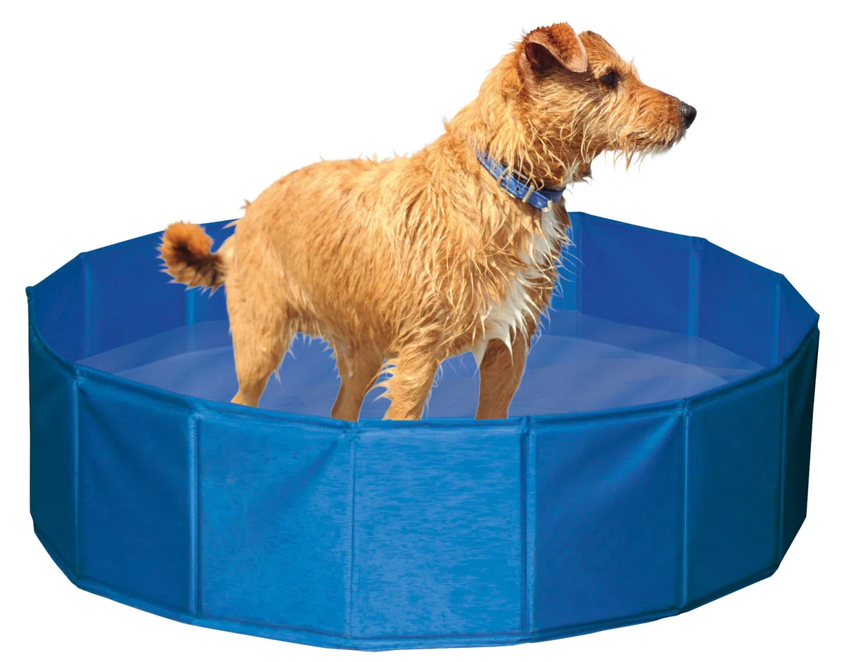 Kerbl, piscina per cani, 120 x 30 cm