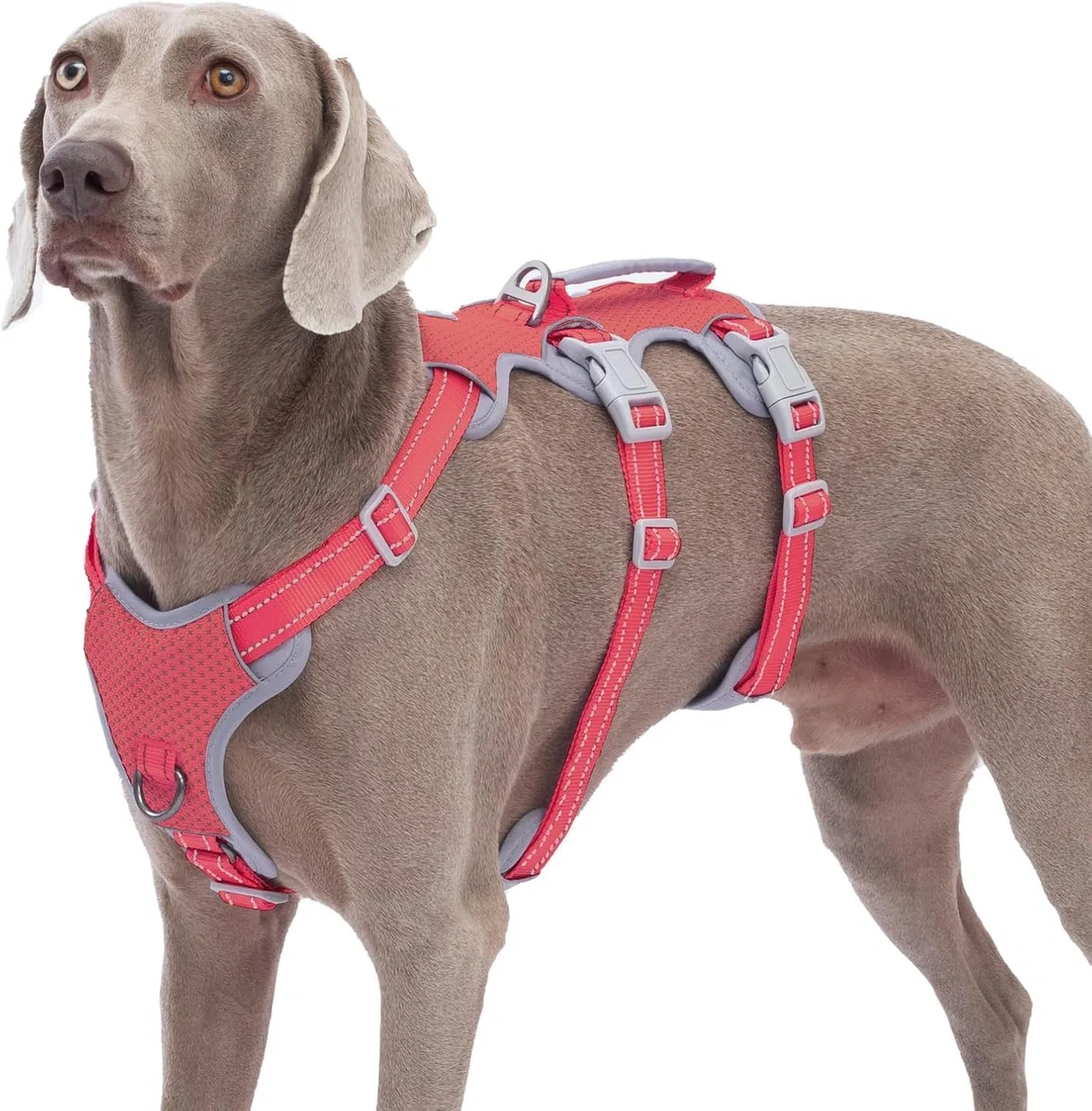 Huntboo Pettorina per cani a prova di fuga, catarifrangente, anti-tiro, con maniglia di sollevamento, regolabile, con clip per guinzaglio anteriore e posteriore, per cani di taglia piccola, media e