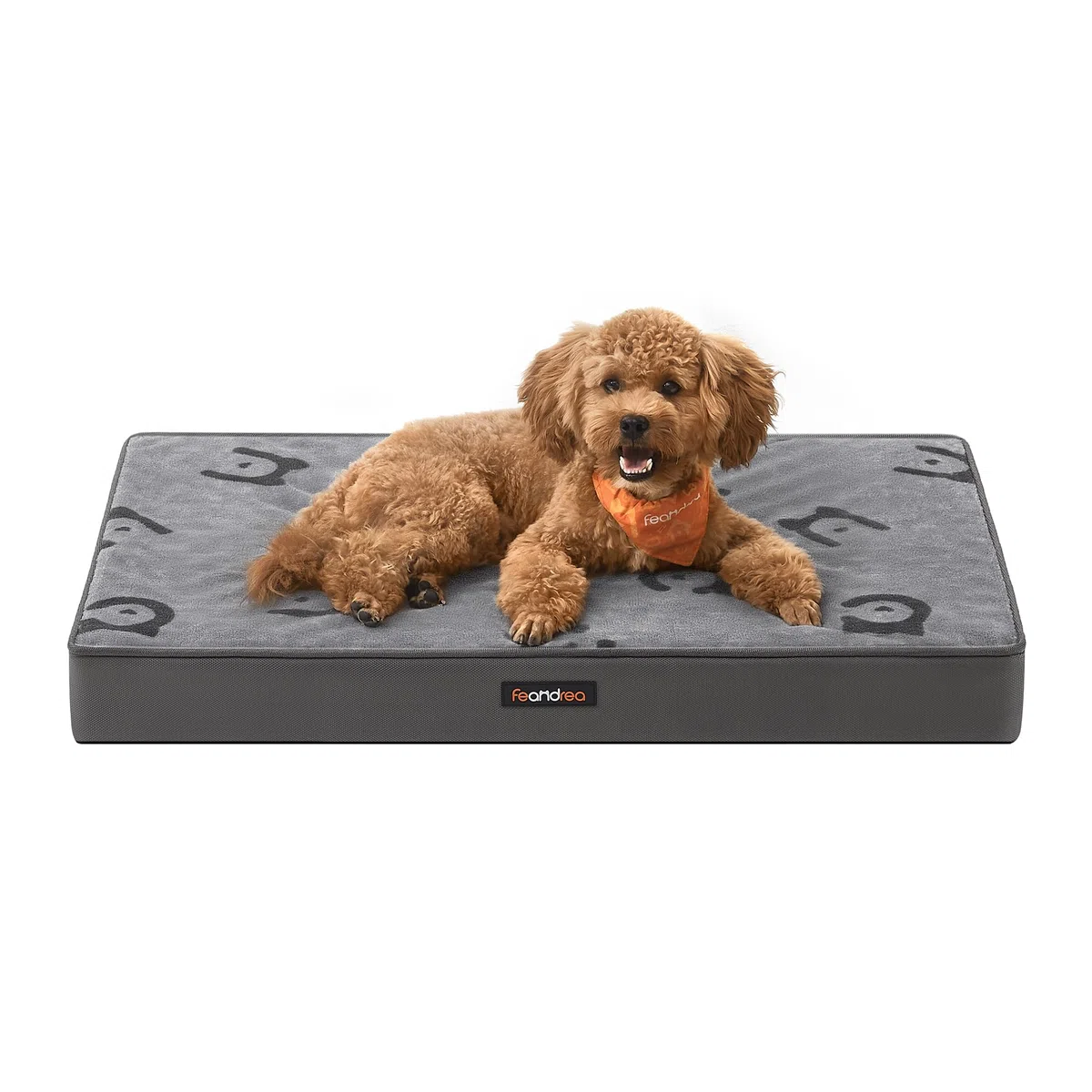 Feandrea Cuccia per Cani, Lettino per Animali, Gommapiuma Preformata Ondulata, con Maniglia, Sfoderabile, Uso a Doppio Lato, Impermeabile, Taglia M, 76 x 51 x 8 cm, Grigio Tortora PGW241G01