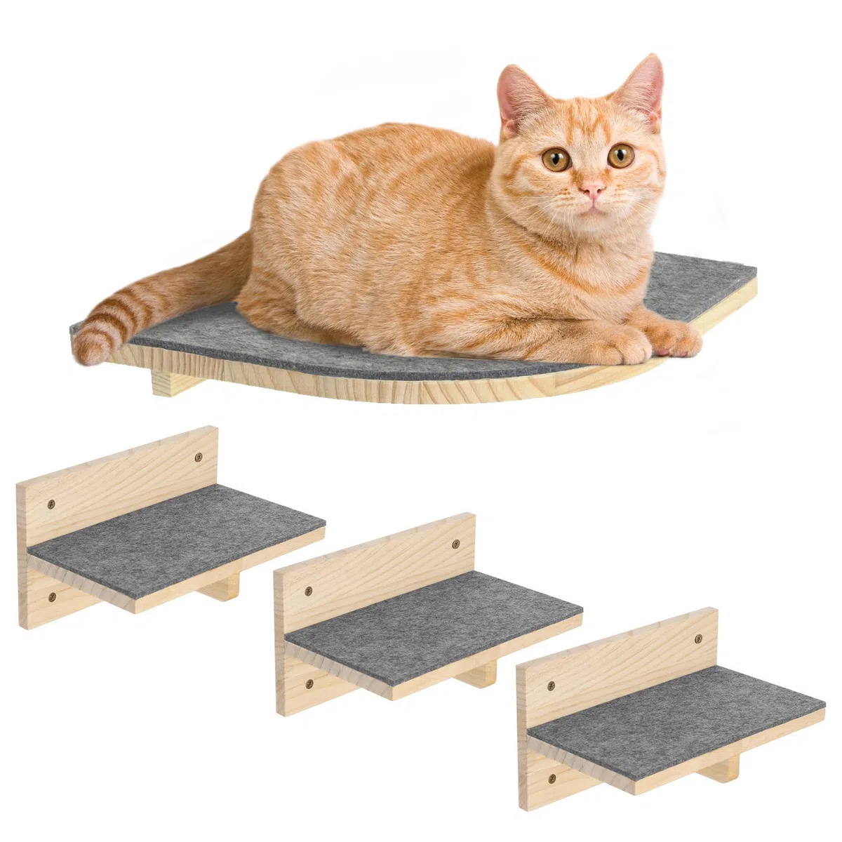 Pawtasy Pareti da arrampicata per gatti, set da 4 pareti per gatti, in legno naturale, fino a 35 kg