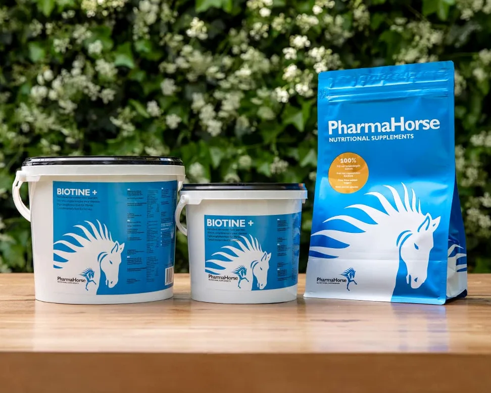PharmaHorse Biotin+ | Pelle | Sistema nervoso | Metabolismo energetico | 100% Senza zuccheri aggiunti | 1000 Grammi