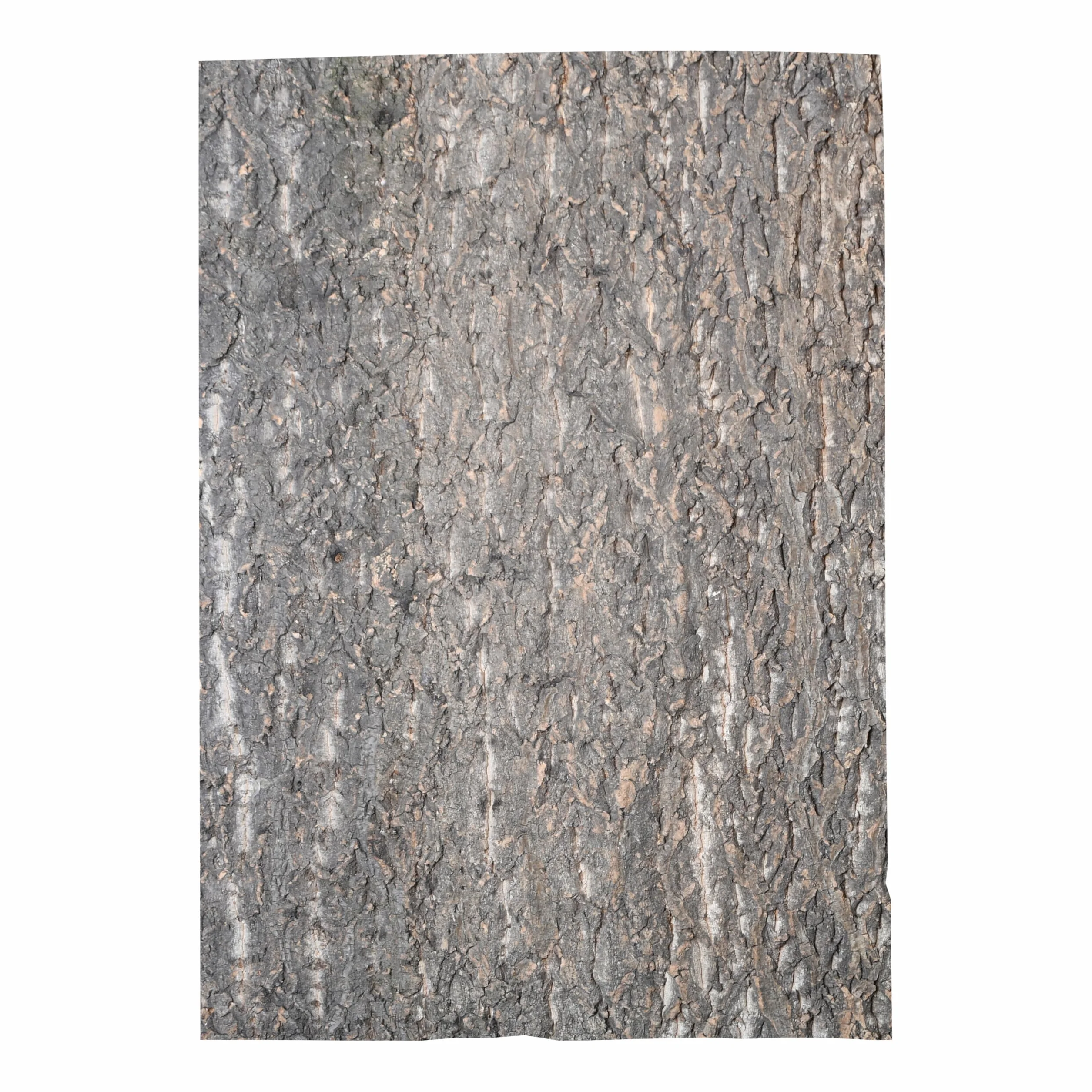 Lucky Reptile KBG-6 - Fondale in Sughero Grezzo, 60 x 30 cm