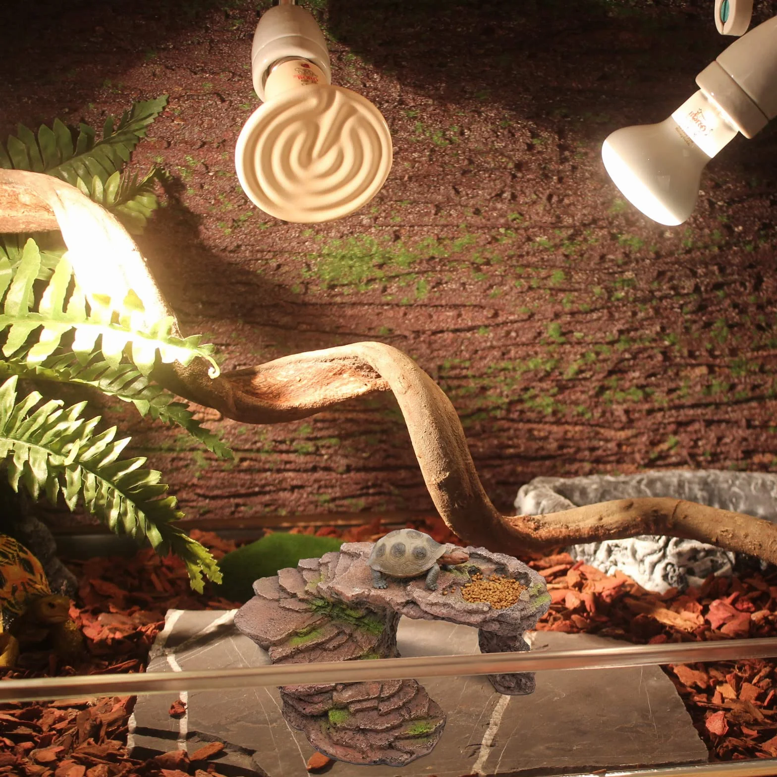 Piattaforma Tartarughe Acqua Grotta dei Rettili Geco Leopardino Grotta Salamandra Leopardo Geco Nascosto Rettile Grotta Drago Barbuto Rifugio Habitat Terrario Decorazione