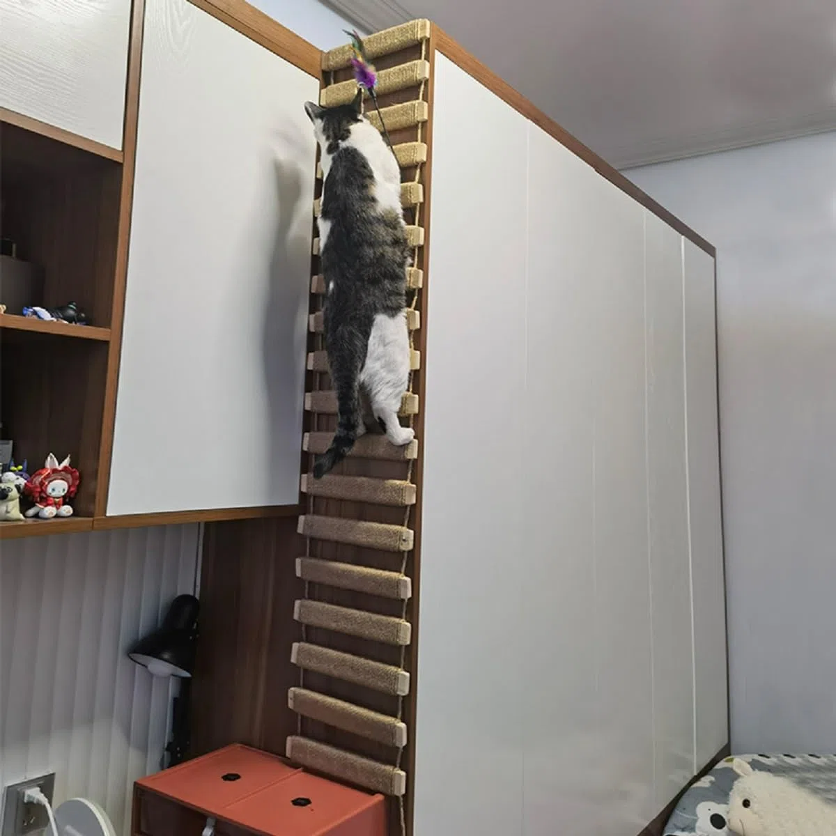 Scaletta per gatti da parete per gatti con gabbia in sisal corda per arrampicata per e gatti(scala in sisal completa di 100 cm)