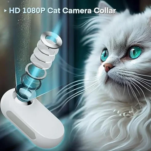 Bewinner Collare per fotocamera granangolo 120°, telecamera sportiva animale domestico schermo LCD 0,96 pollici HD 1080P multifunzione