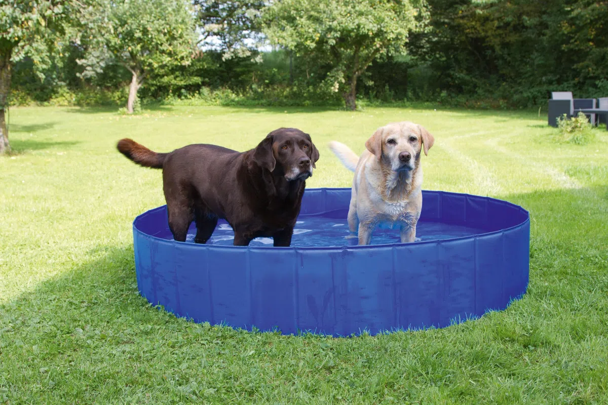 Kerbl, piscina per cani, 120 x 30 cm