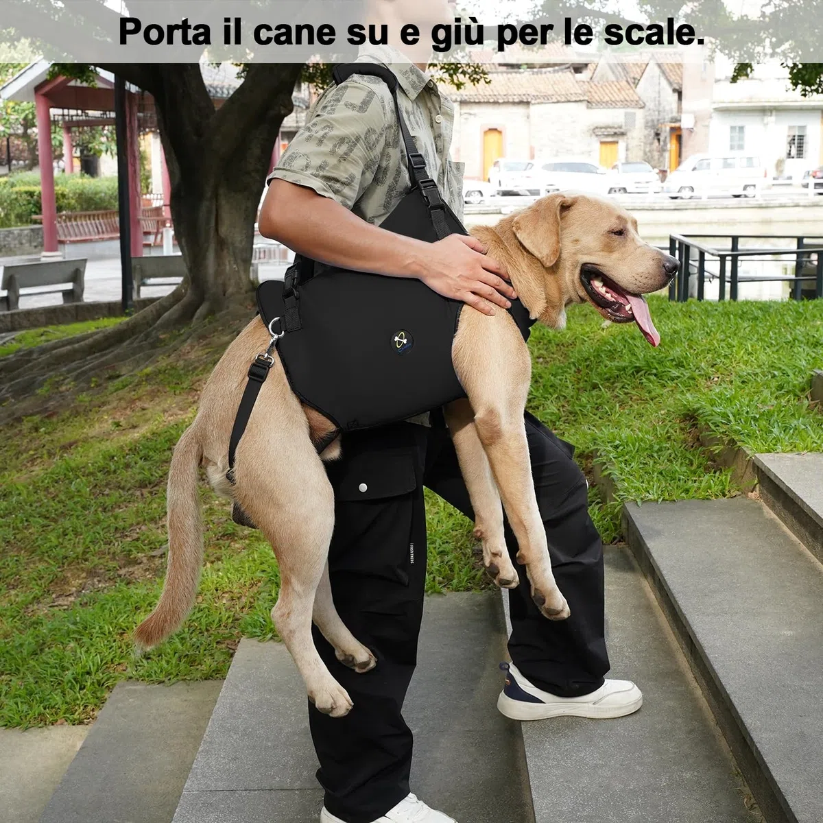 Coodeo Imbracatura per Cani, Sling di Supporto e Riabilitazione Regolabile con Cinghie Padded e Traspiranti per Cani Anziani, Disabili e con Infortuni Articolari. (Nero, XL)