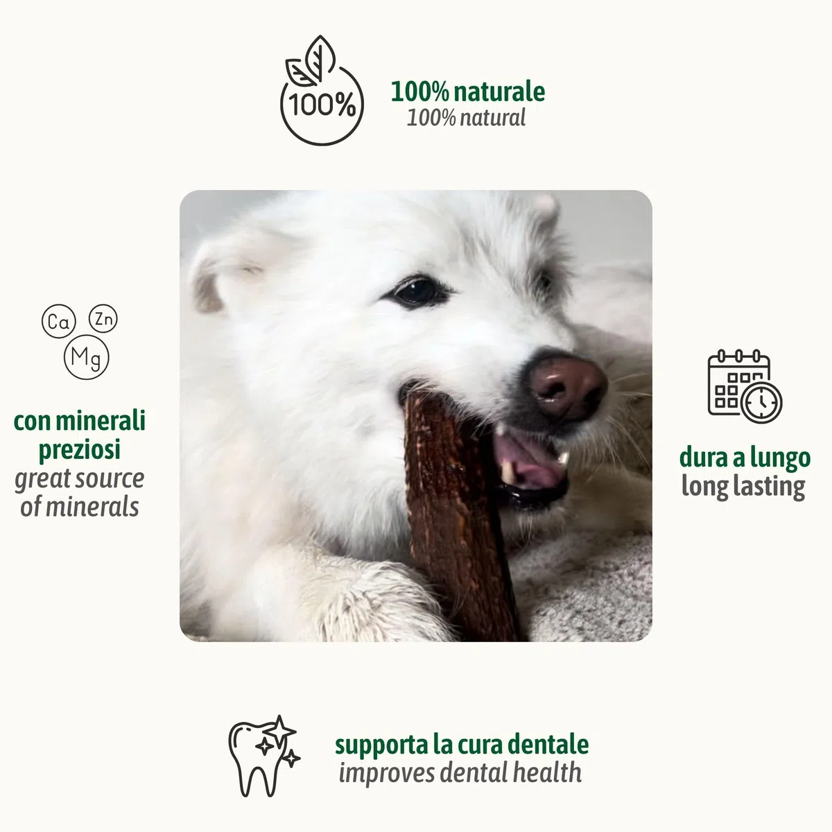 ChronoBalance-XXL Corno di Cervo per Cani, Confezione da 1, 100% Naturale, Pezzi Interi, Cura Dentale, Giocattolo per Cani, Ricco di Minerali e Nutrienti, Lunga Durata
