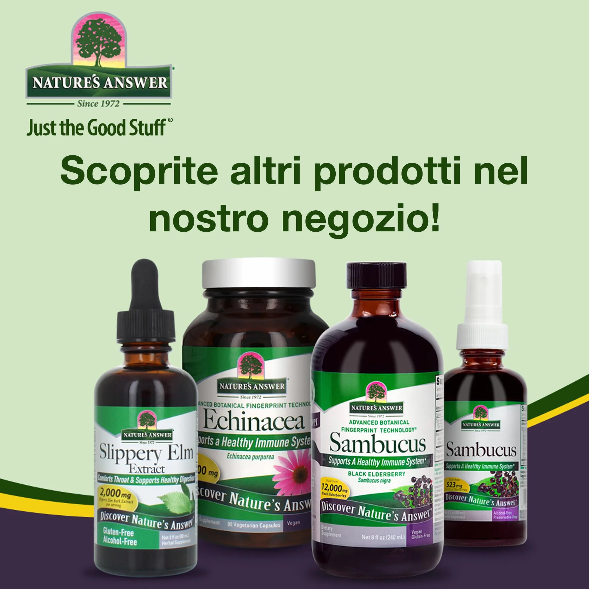 Nature's Answer, Cat's Claw Bark (Corteccia di Artiglio di Gatto), 2.000mg, 60ml, Testato in Laboratorio, Senza Glutine, Senza Soia, Vegetariano