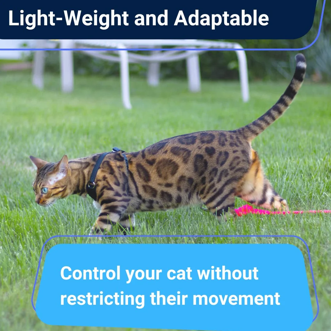 Houdini™ - Set di pettorina e guinzaglio per gattini in pelle vegana, a prova di fuga, di OutdoorBengal per gattini che camminano (S)