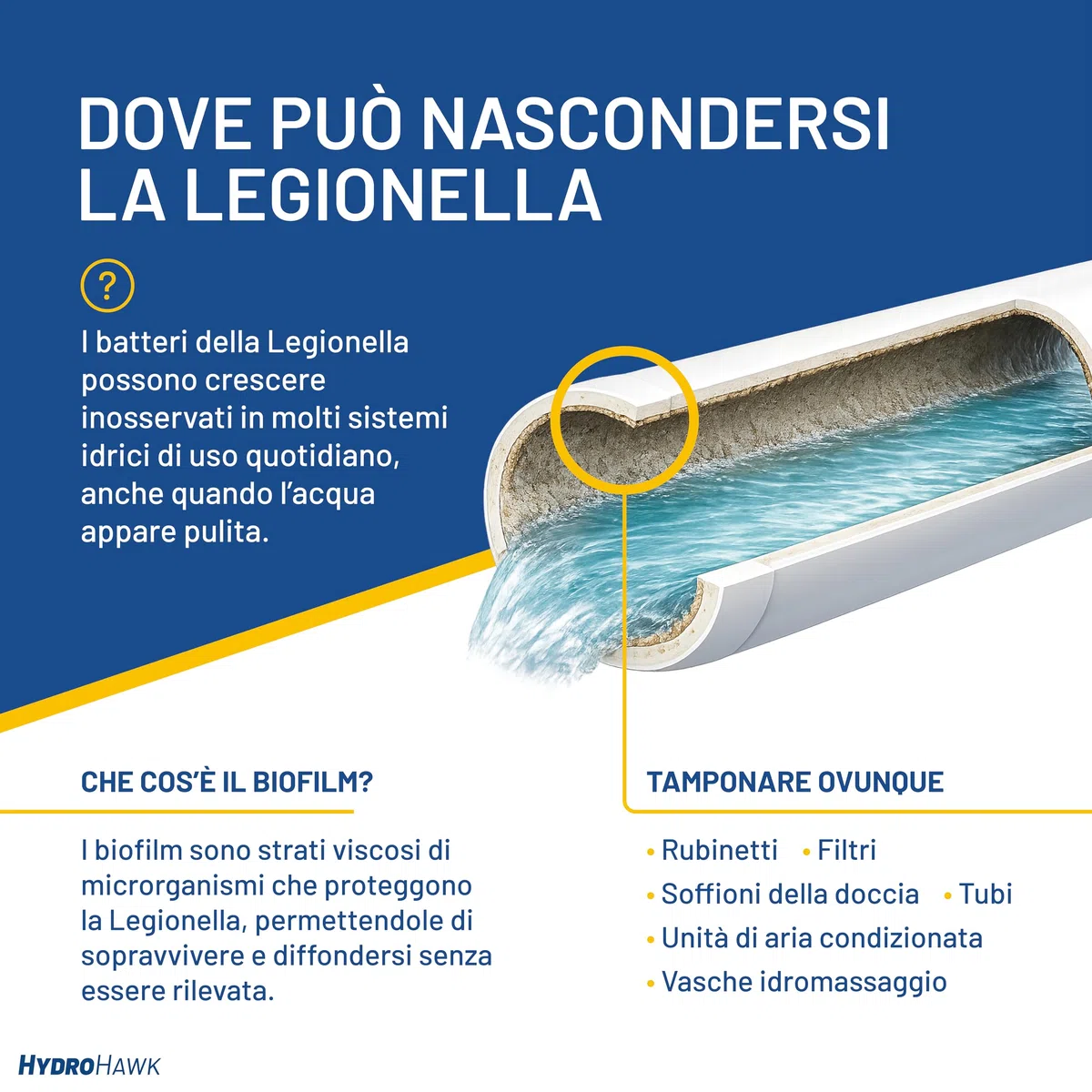 Test HydroHawk Legionella – Kit Monouso per Rilevare Legionella pneumophila sg1 in Piscine, Docce, Rubinetti, Tubi, Condizionatori, Vasche – Risultato in 25 min – Per casa e viaggio
