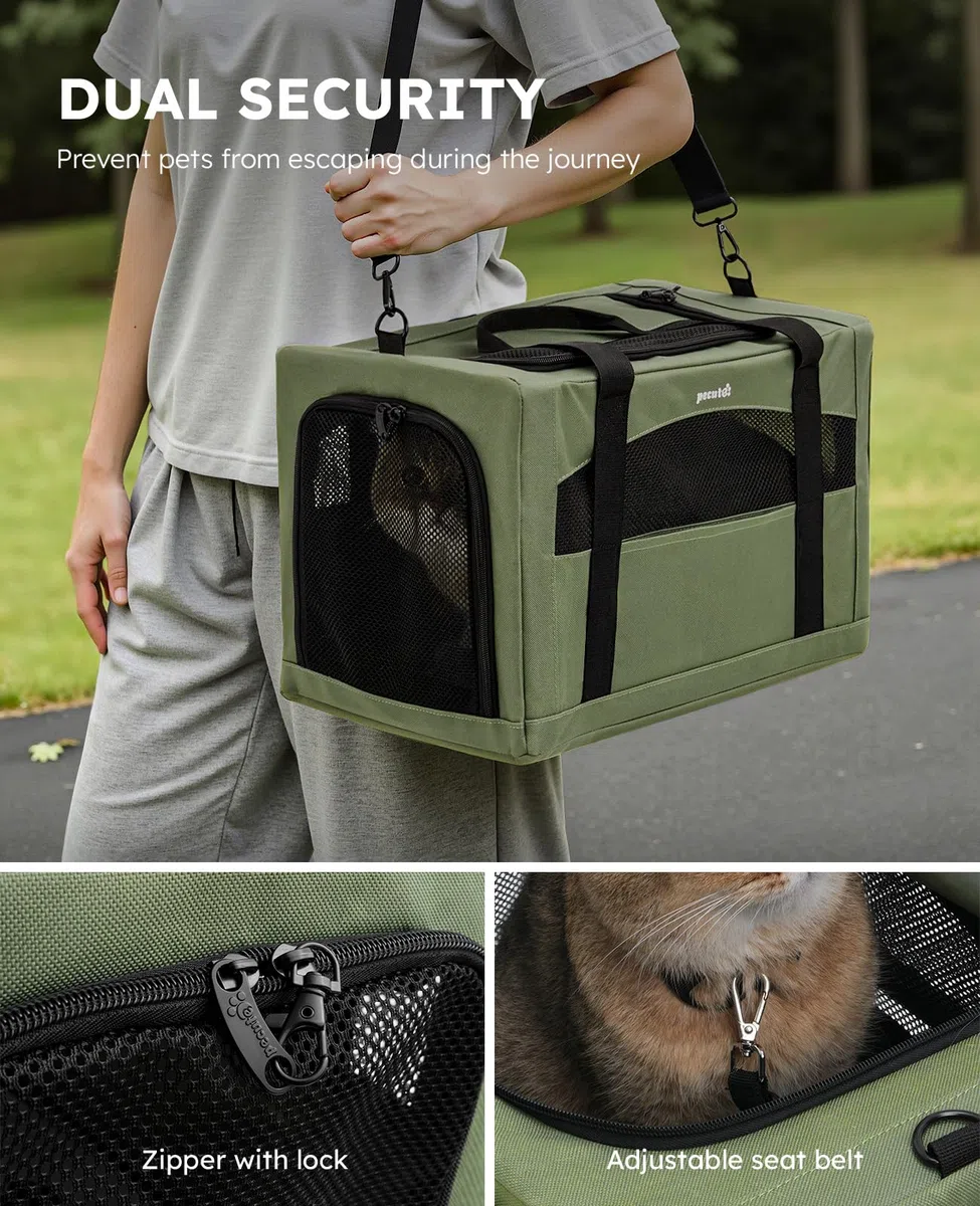 Pecute Trasportino Gatto, Stabile Zaino per Gatti, Traspirante e Portatile Trasportino per Cani, per Gatti Sotto i 5KG, Adatto per Viaggi e Gite, Verde