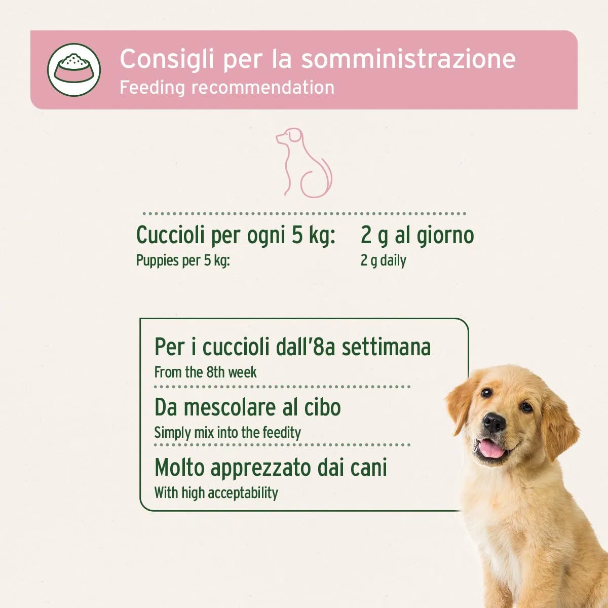 AniForte Junior Active per Cuccioli e Giovani Cani 250g - per Ossa, tendini, legamenti, Sviluppo dei Denti di Cuccioli e Giovani Cani. Integratore per Cuccioli con Calcio, vitamine e minerali