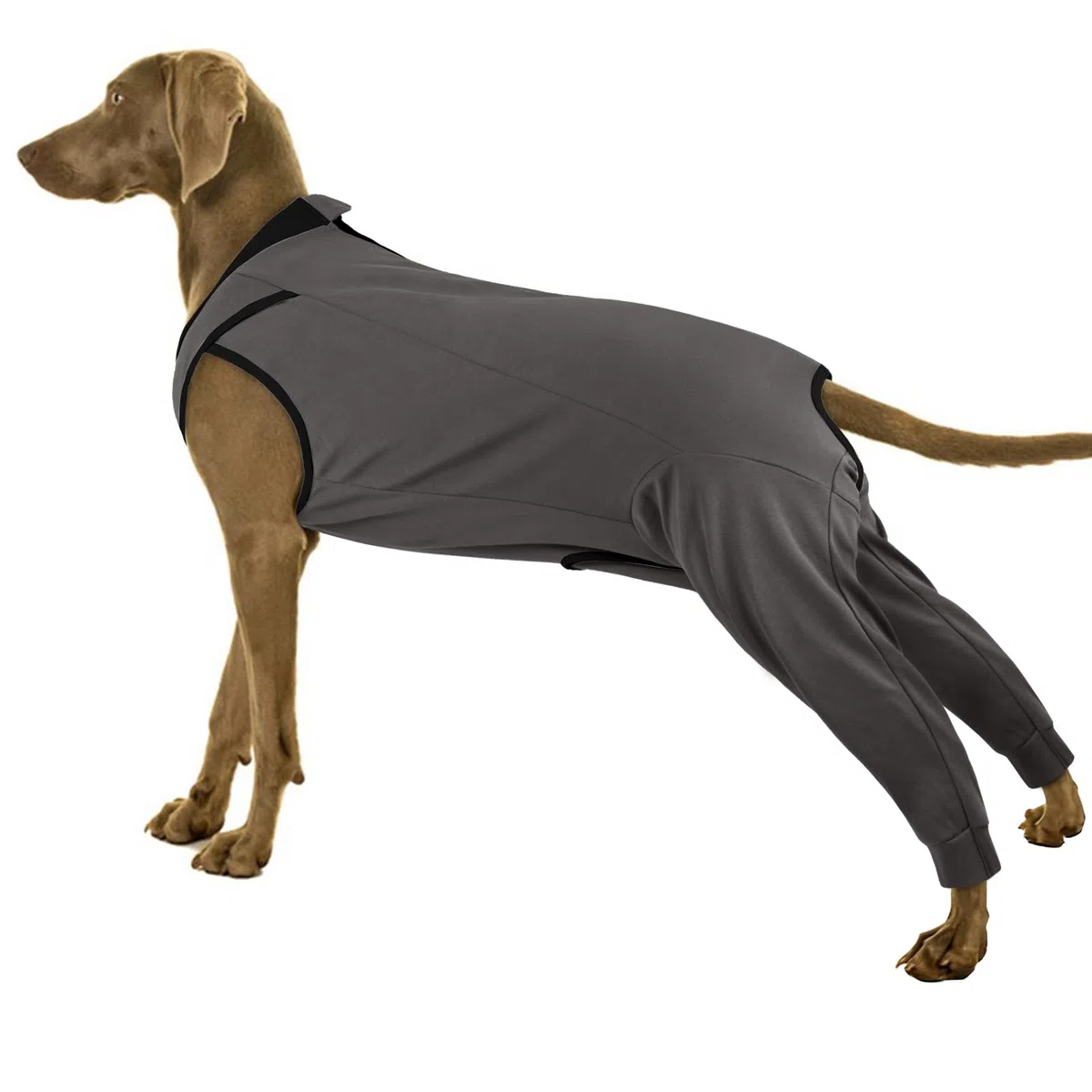 PUMYPOREITY Vestito Recupero Cani, Confortevole Tuta da Guarigione Body Post-Operatori Tutina Body Protezione Ferite Dopo L’Intervento Chirurgico Camicia Ferite per Cani(Grigio, 2XL)