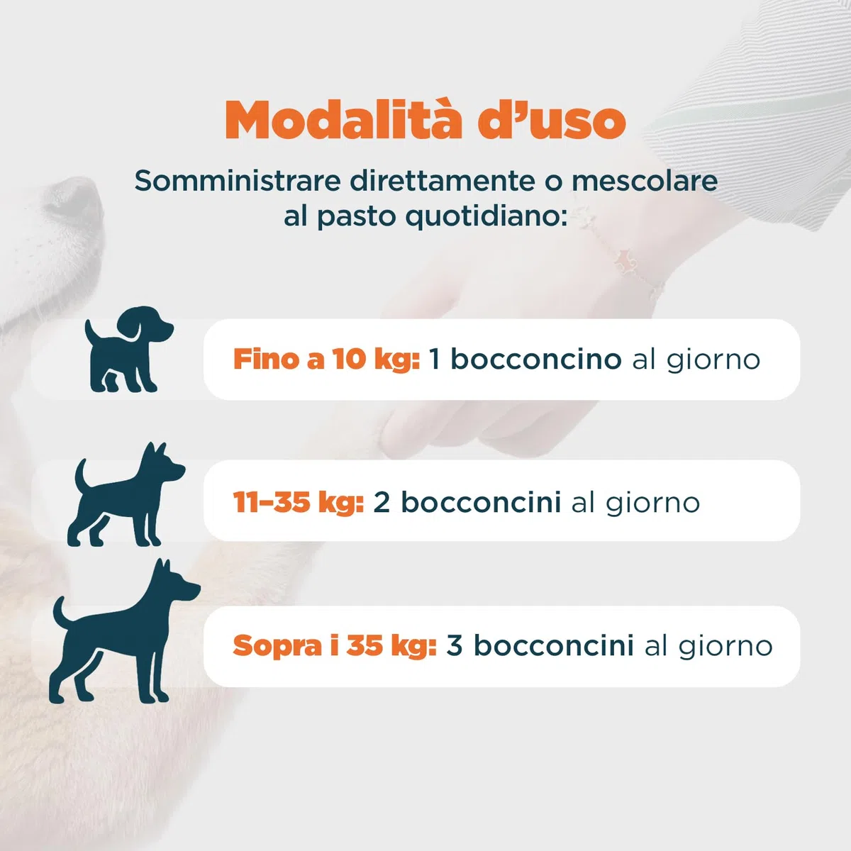 Probiotici Digestivi per Cani | Integratore con Pre, Pro & Post Biotici | Supporto Digestione, Flora Intestinale e Difese Naturali | 60 Bocconcini Gusto Manzo
