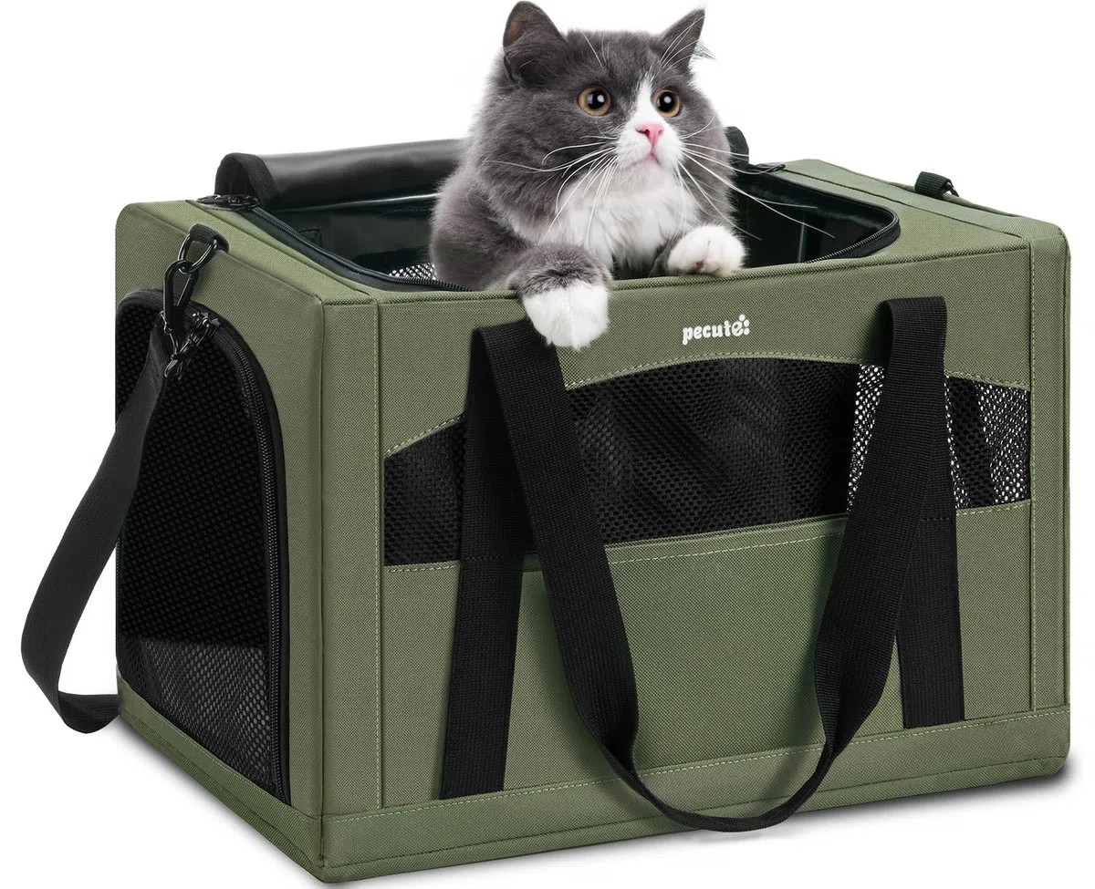 Pecute Trasportino Gatto, Stabile Zaino per Gatti, Traspirante e Portatile Trasportino per Cani, per Gatti Sotto i 5KG, Adatto per Viaggi e Gite, Verde