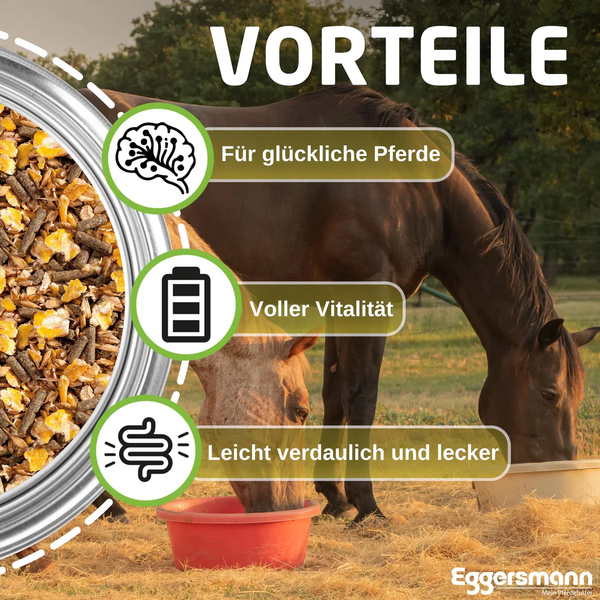 Mangime completo di alta qualità, il müsli ideale per l'immagazzinamento del silo, Eggersmann EMH F müsli per cavalli, confezione da 1 (1 x 25 kg)