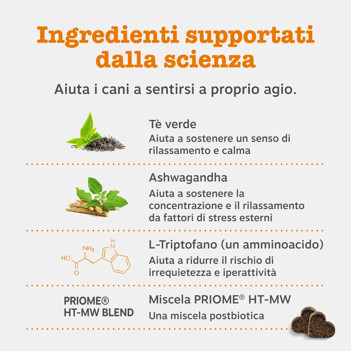 Zesty Paws Calming per Cani – Supporto per Ansia da Separazione, Stress e Iperattività – Favorisce Relax e Benessere – con Ashwagandha e L-Triptofano – Uso Quotidiano – 90 Bocconcini